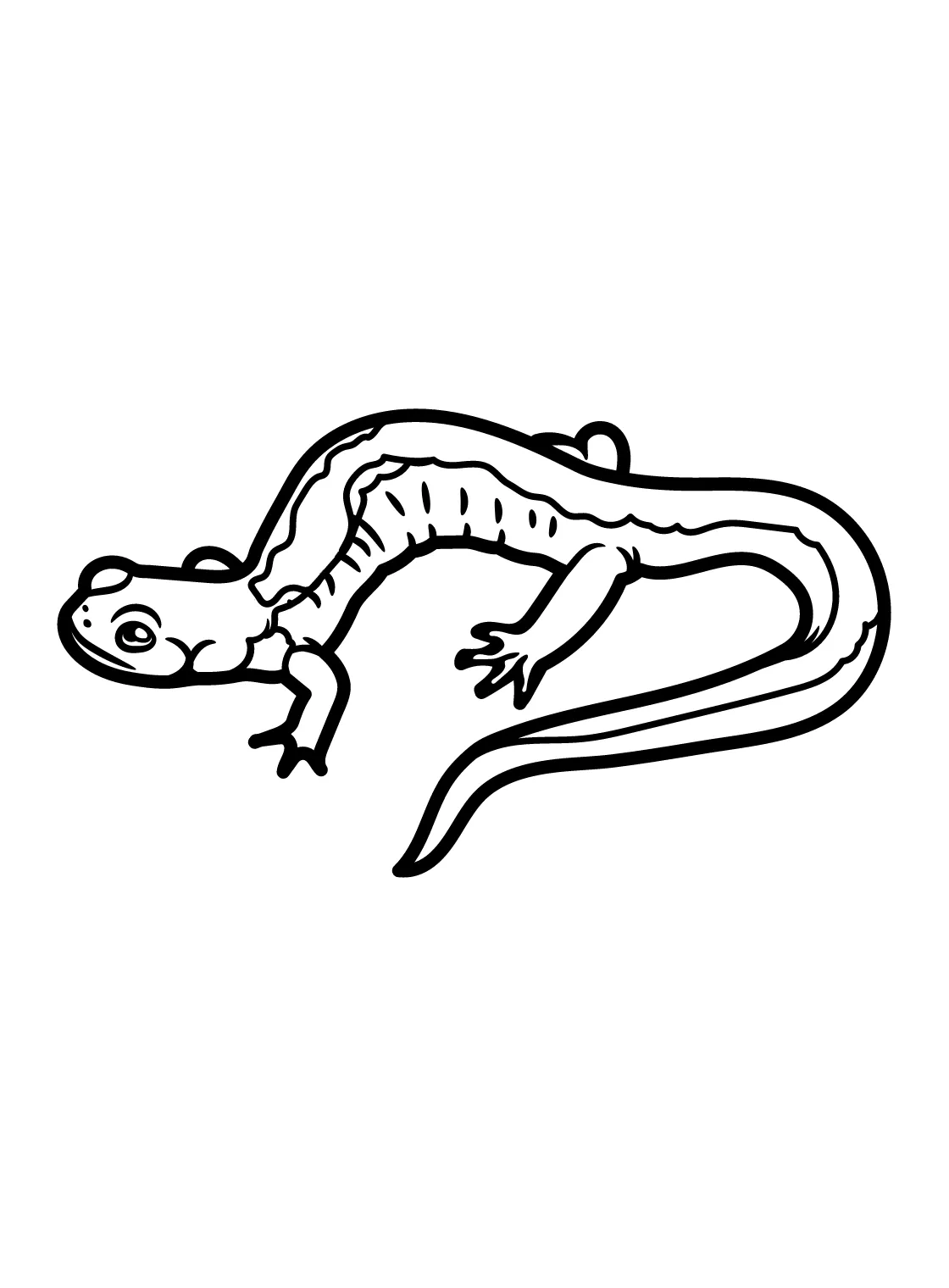 20+ Salamander Coloring Pages - Free Printable PDF & Online Coloring