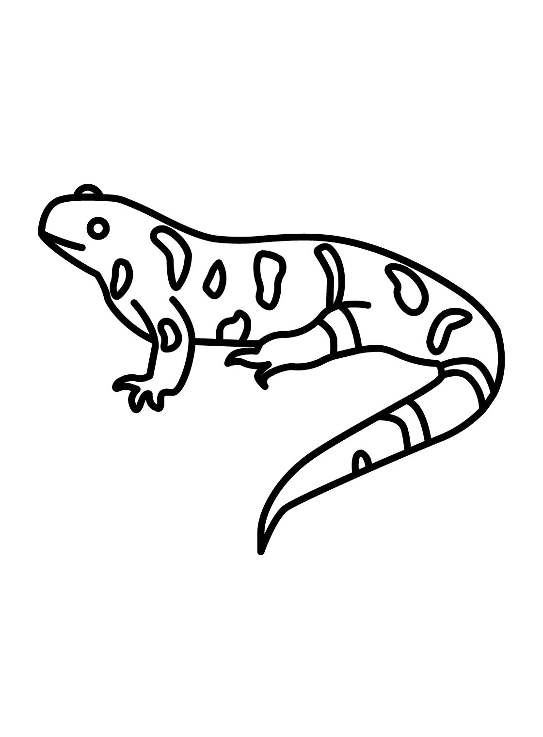Salamander Coloring Page Printable