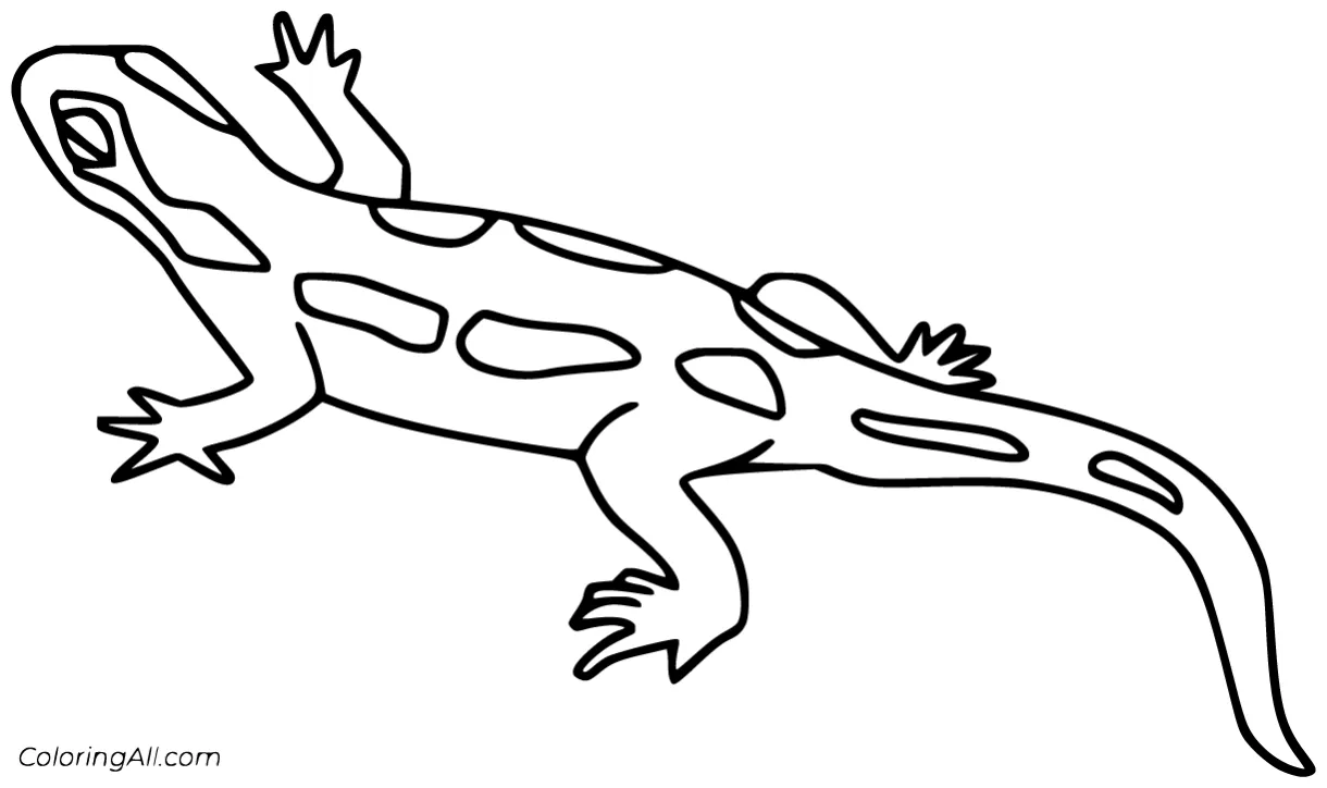 Salamander Coloring Pages (29 Free Printables) - ColoringAll