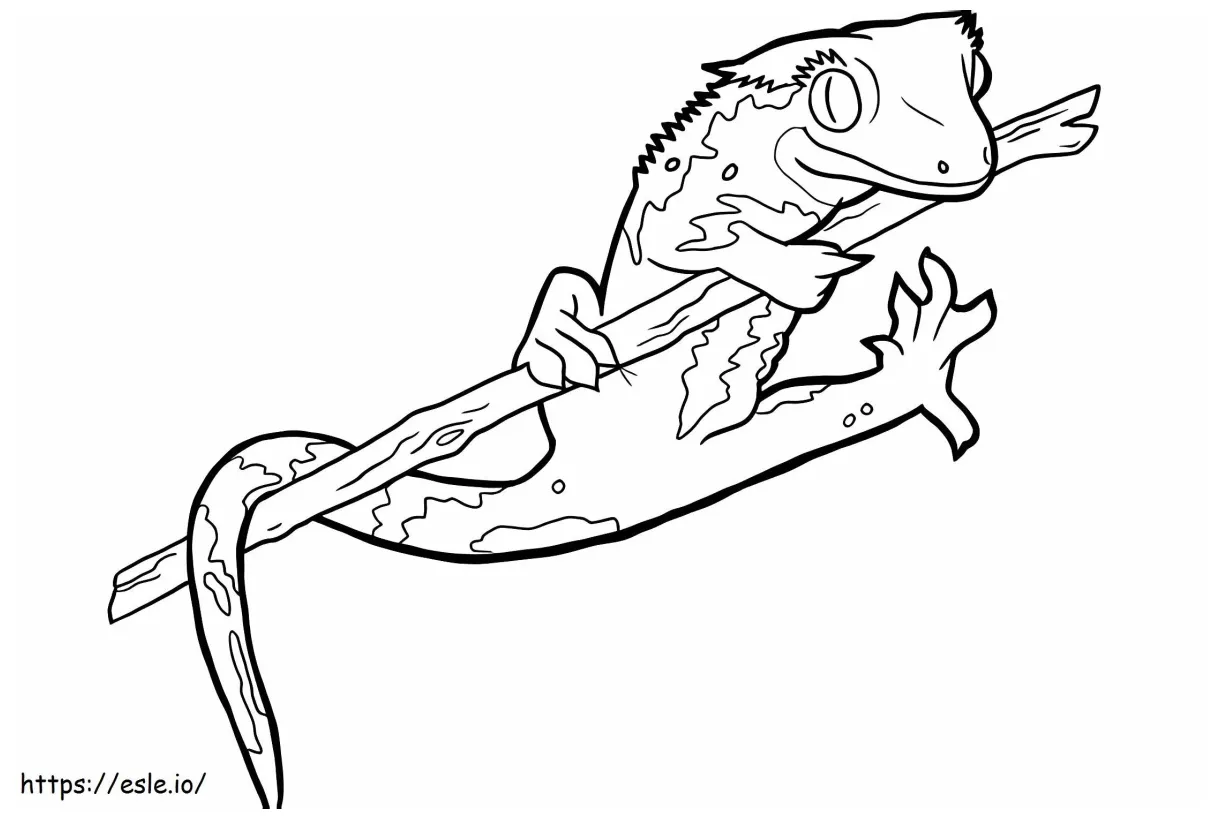 Salamander coloring page