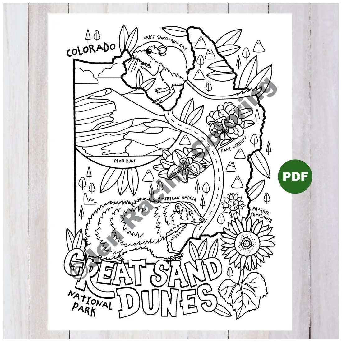 Great sand dunes national park coloring page etsy printable coloring page