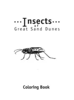 Great sand dunes darkling coloring page free printable coloring pages