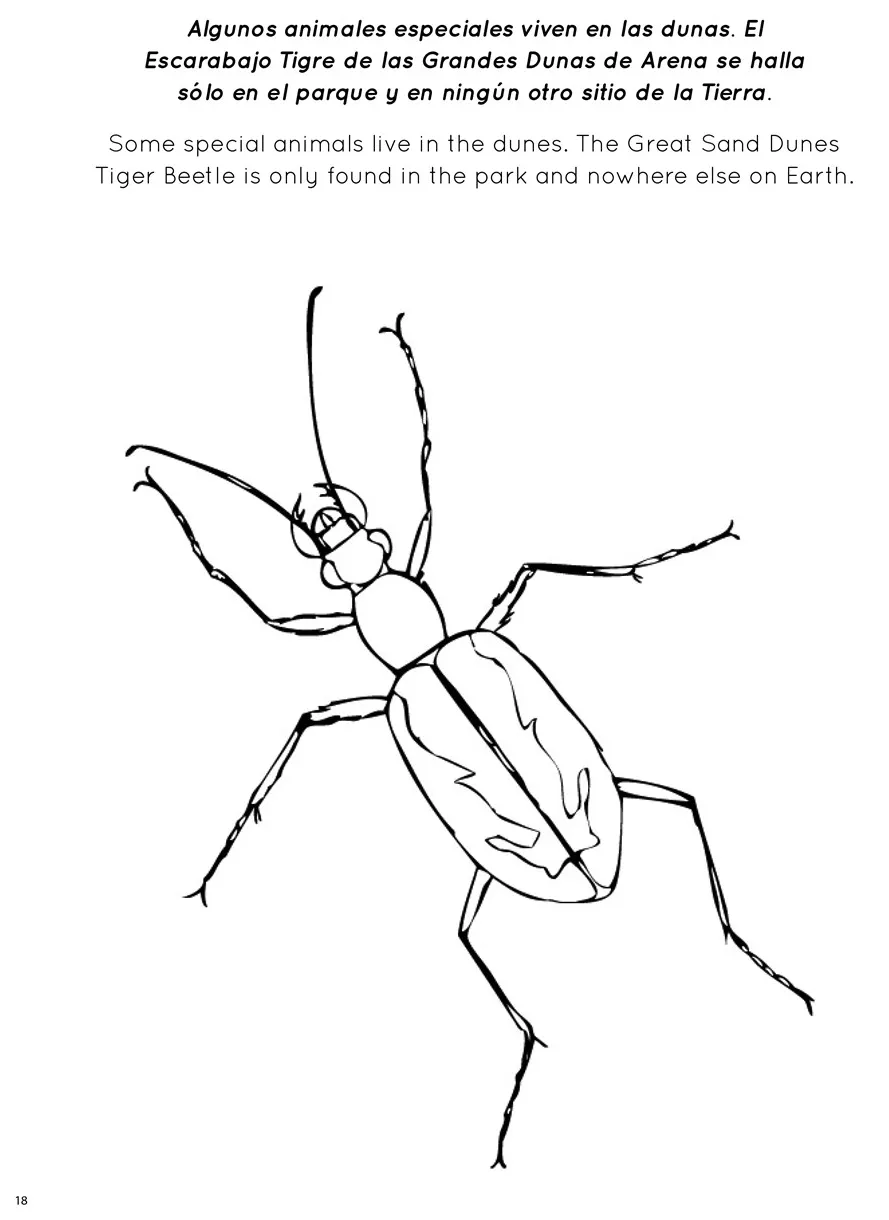 Great s great sand dunes national park