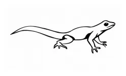 Clipart panda free clipart s