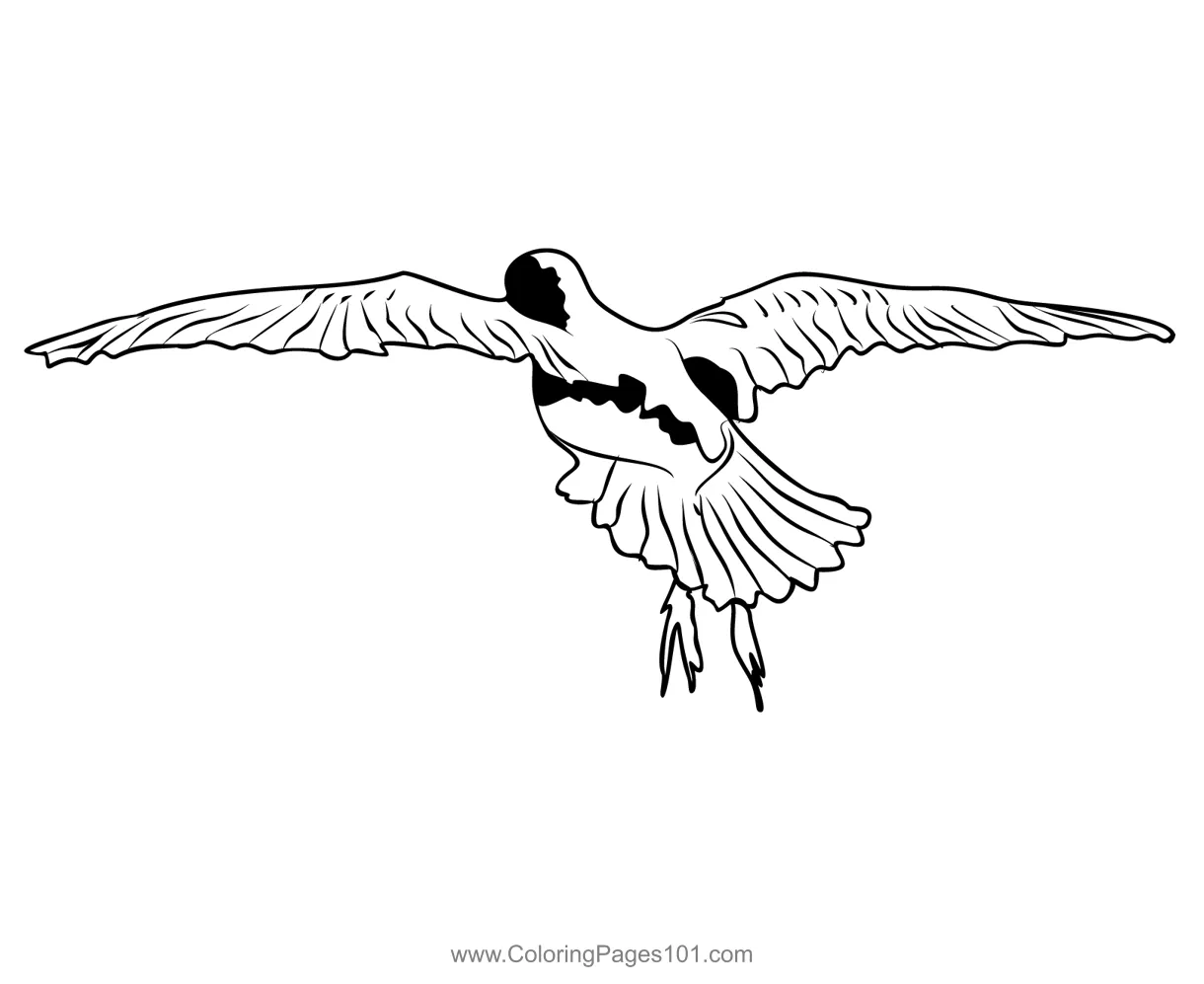 Green Sandpiper 3 Coloring Page for Kids - Free Sandpipers Printable