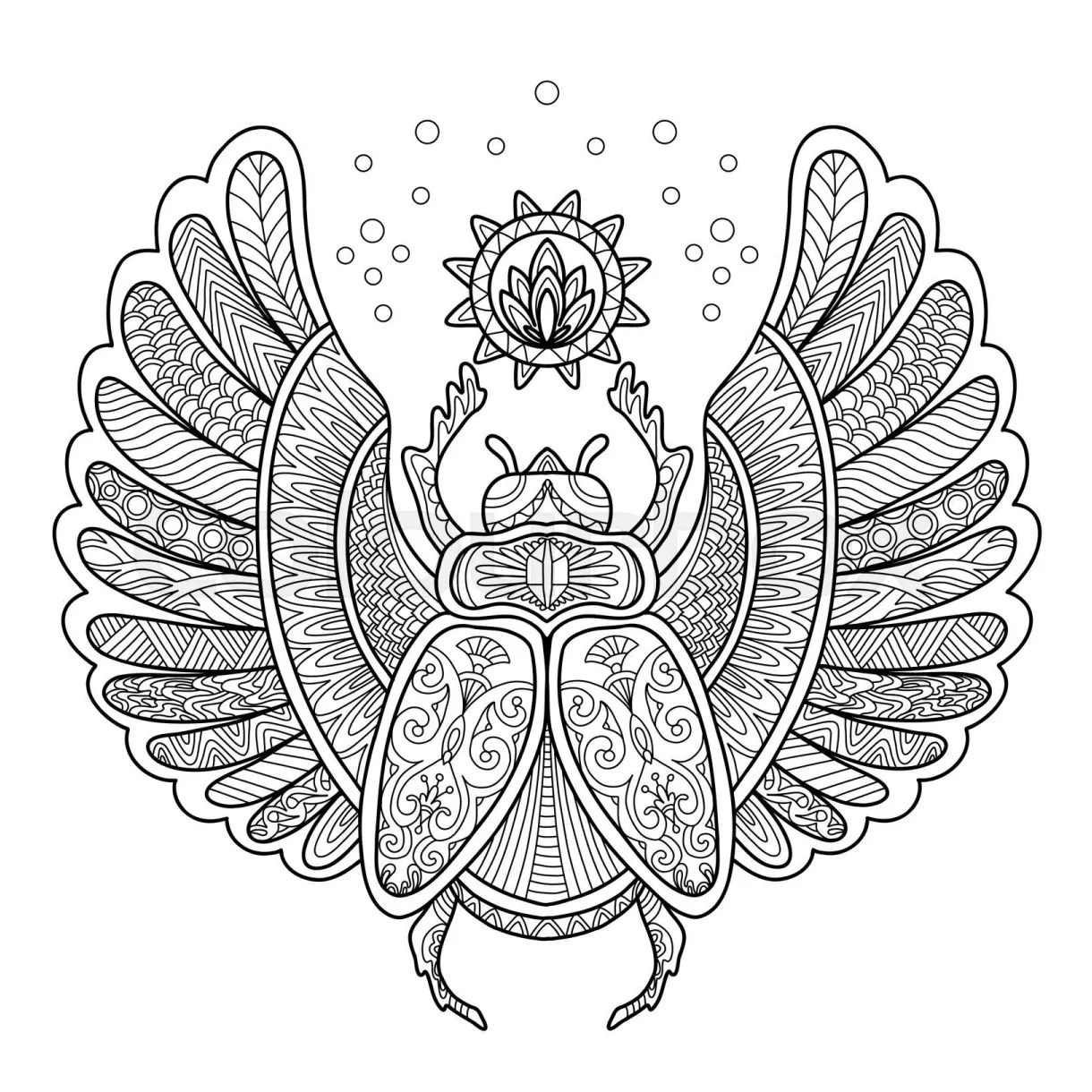 Scarab beetle adult antistress coloring page vector stock vector