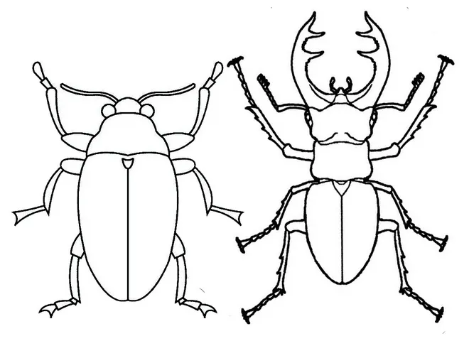 Scarab and stag beetle coloring page coloring pages