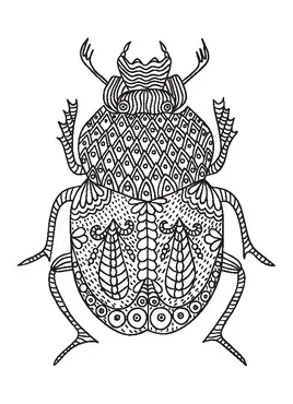 Ornate scarab beetle insect coloring page by mitaw tpt
