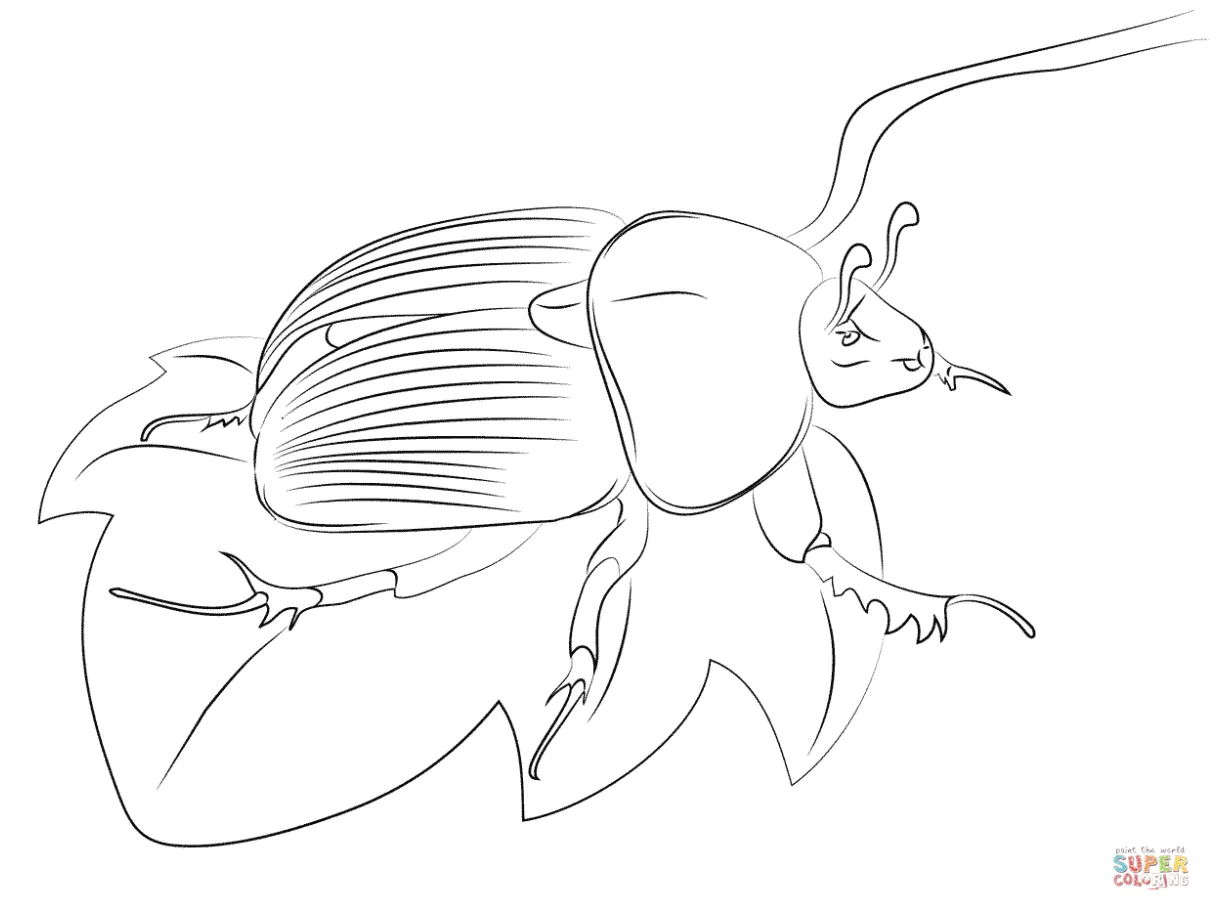 Scarab coloring page coloring pages