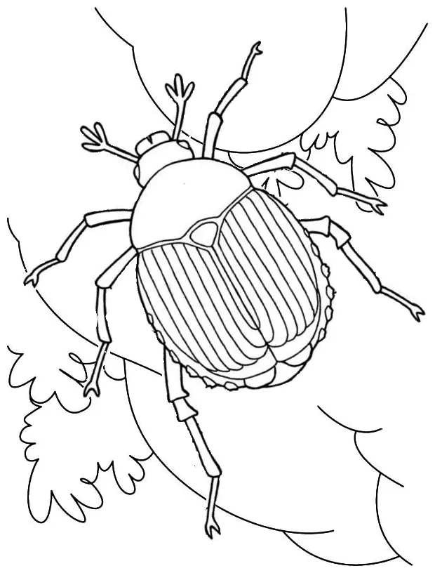 Egyptian coloring pages