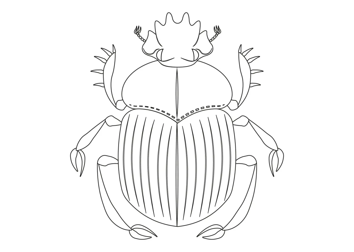 Black and white scarab beetle clipart. coloring page of scarab beetle
