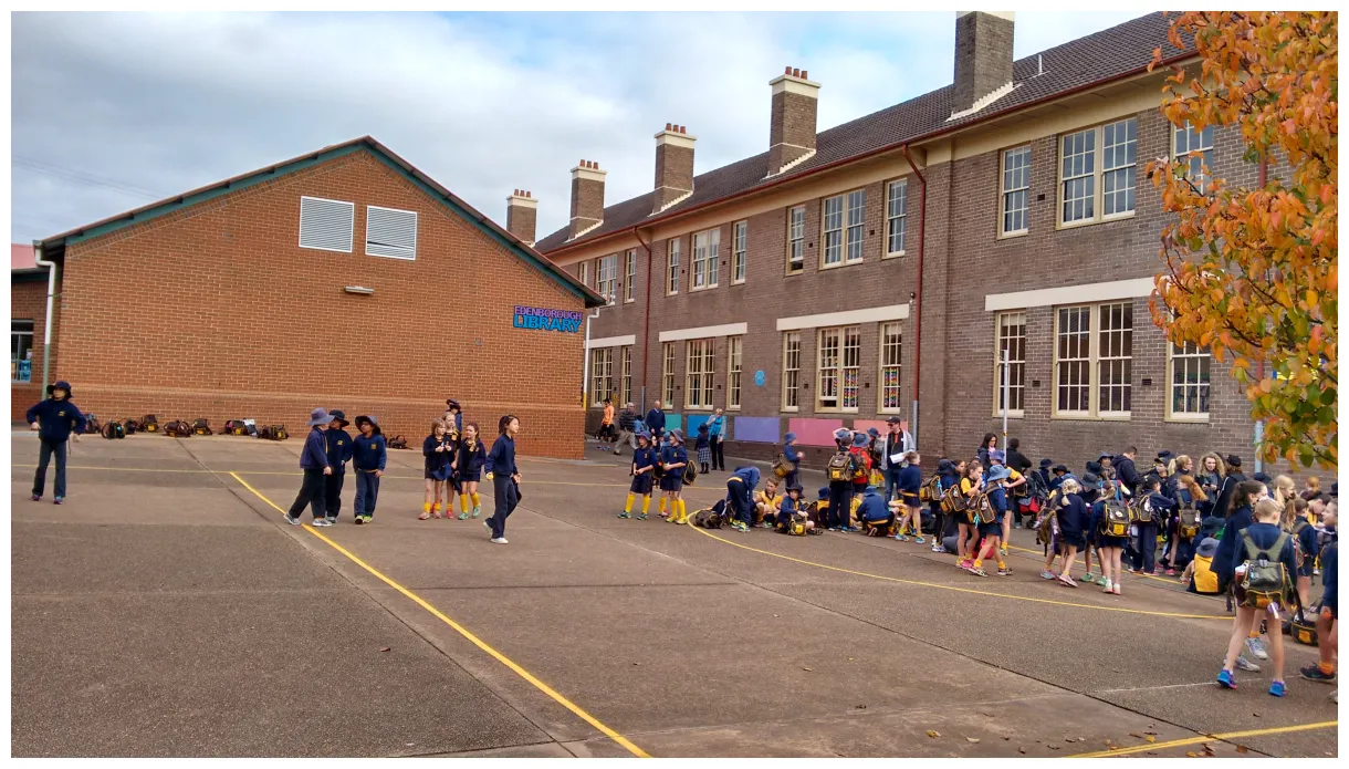 Roseville public school australian public school information