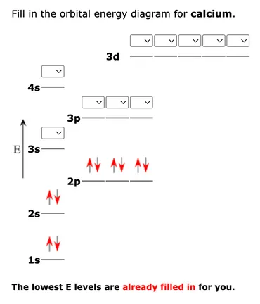 Answered fill in the orbital energy diagram for calcium. bartleby