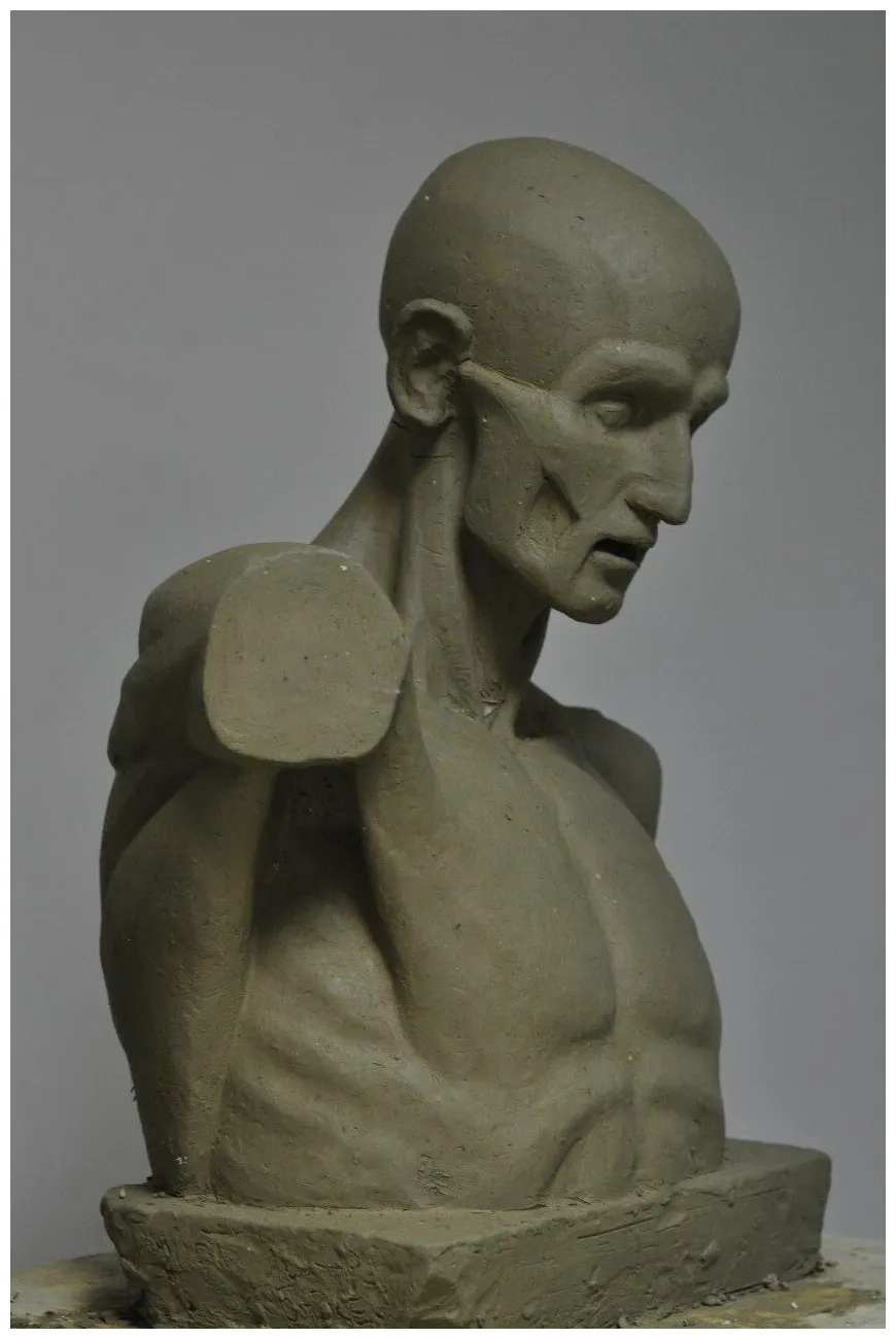 Studying work. Academic drawings, academic painting, academic sculpture