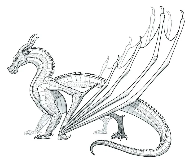 Sea dragon coloring pages at getcolorings free printable