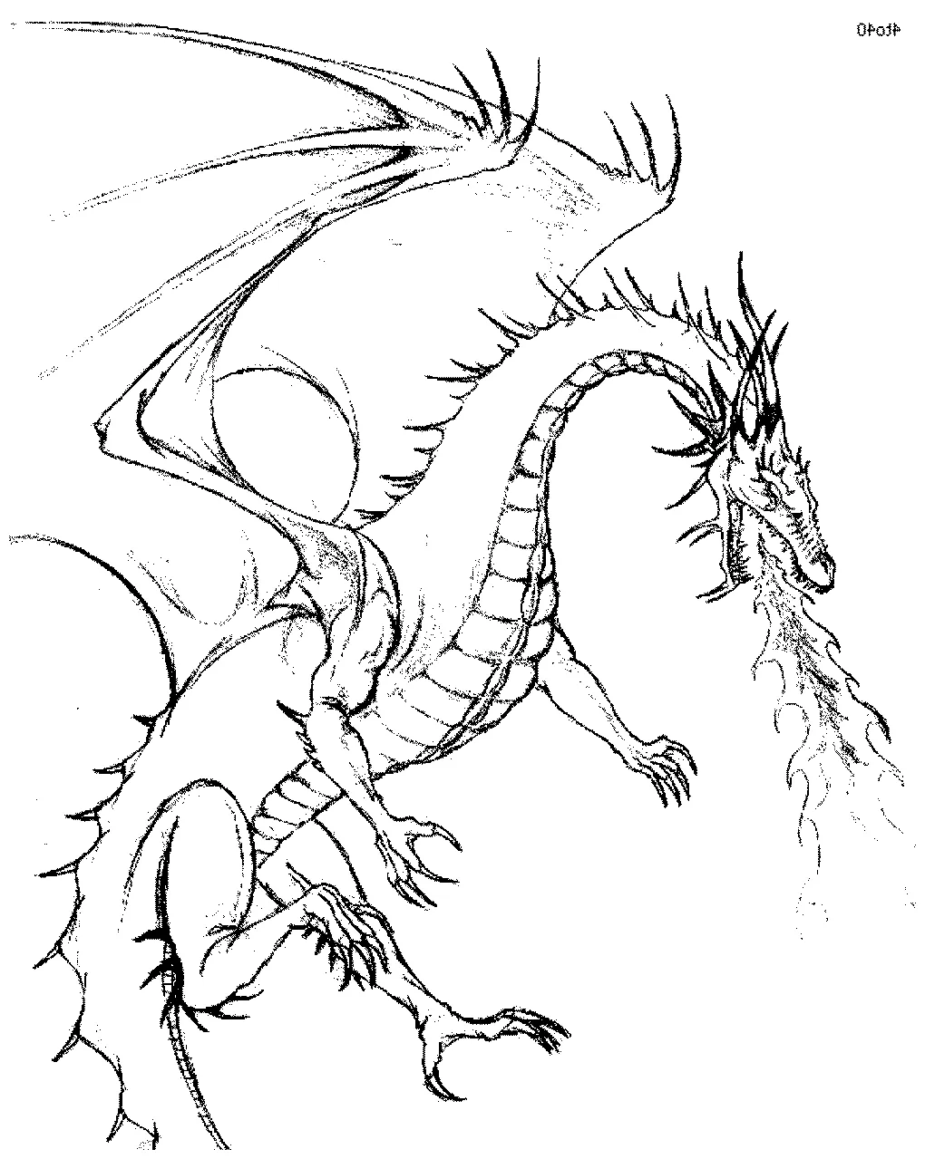 Sea dragon coloring pages at getcolorings free printable