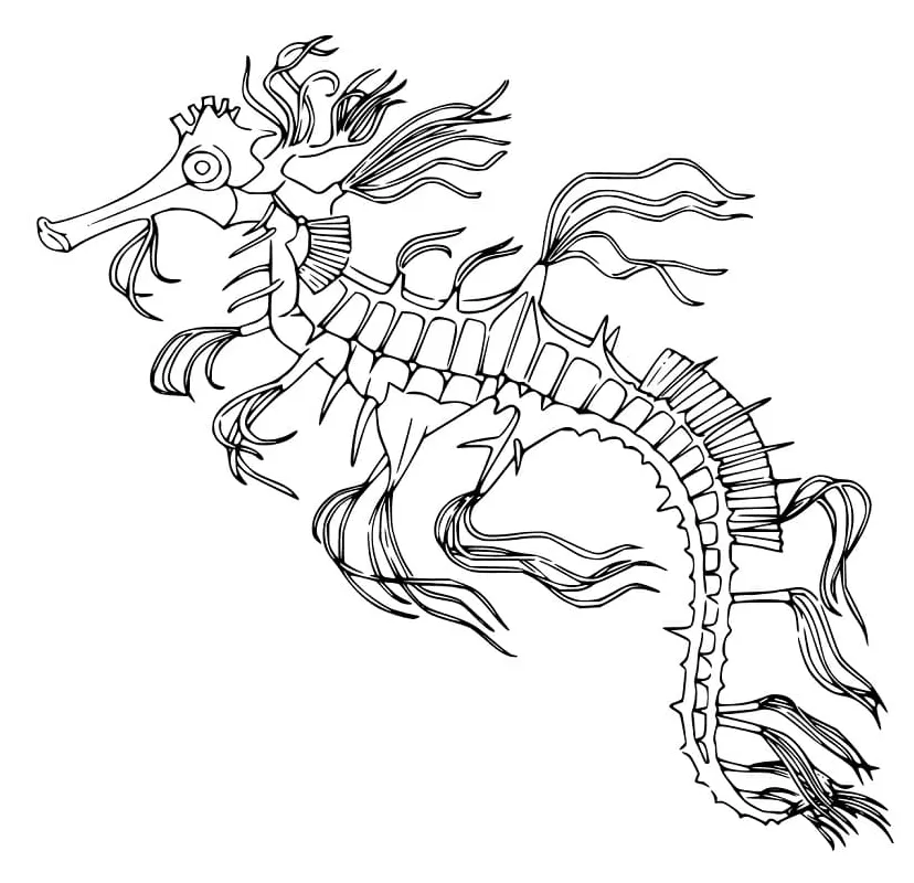 Seadragon coloring page