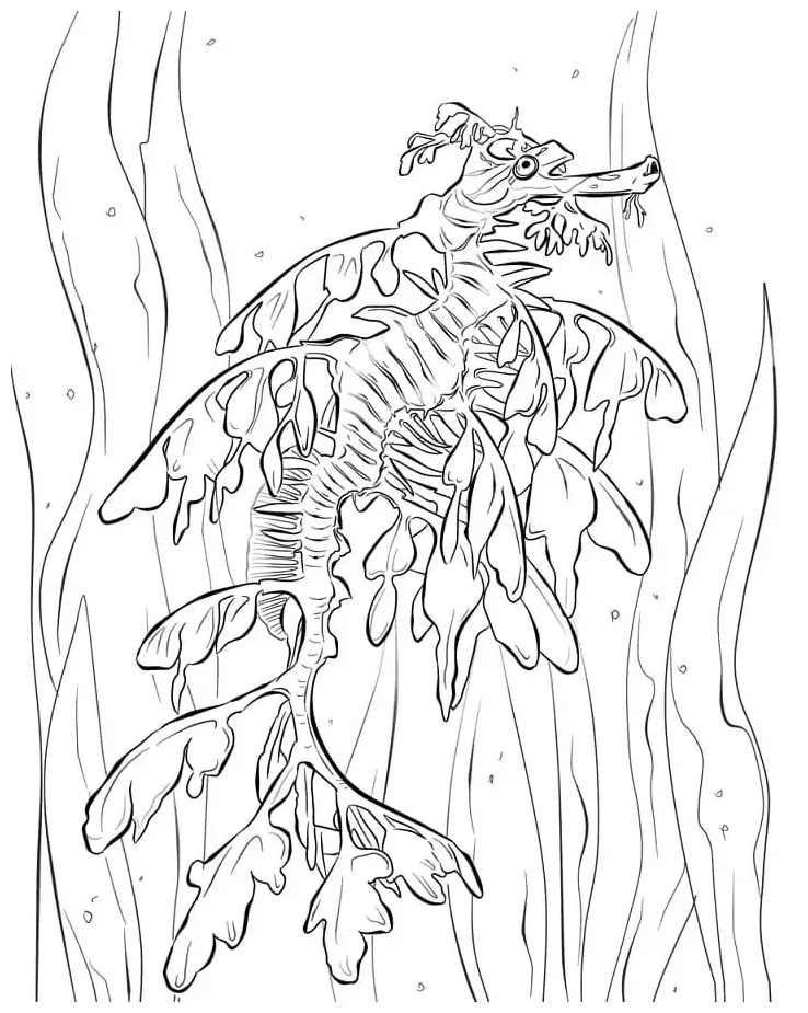 Seadragon coloring page