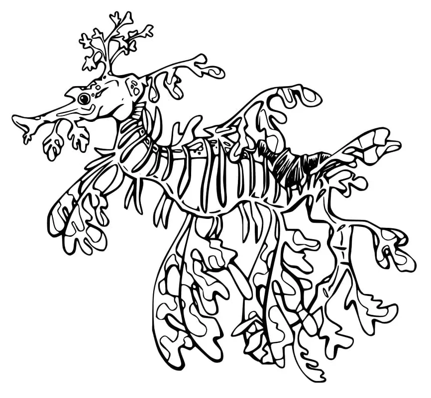 Seadragon coloring pages free printable coloring pages for kids