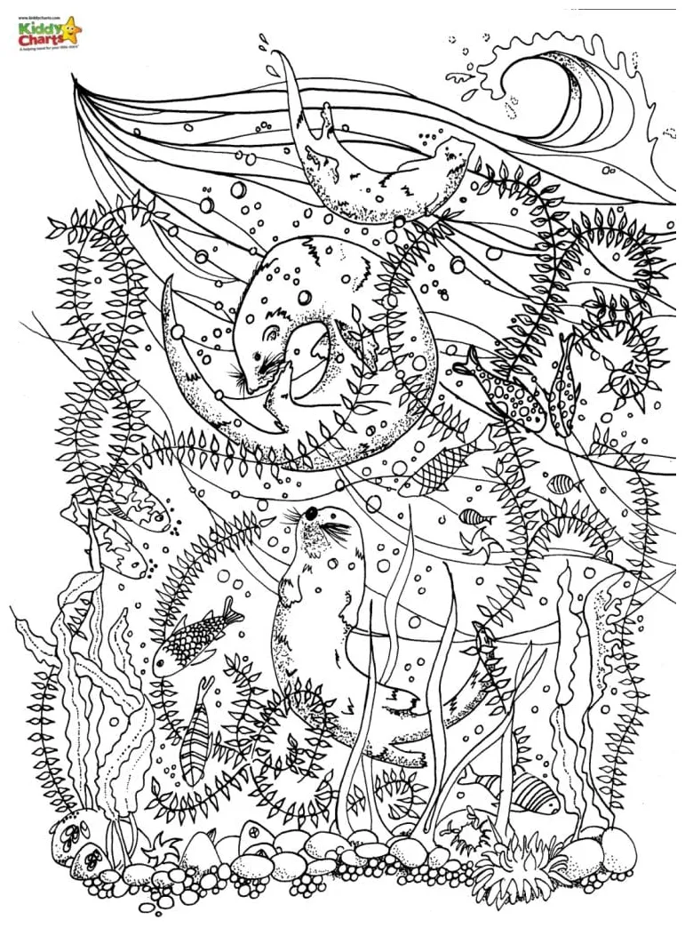 Sea dragon coloring page pictures to print