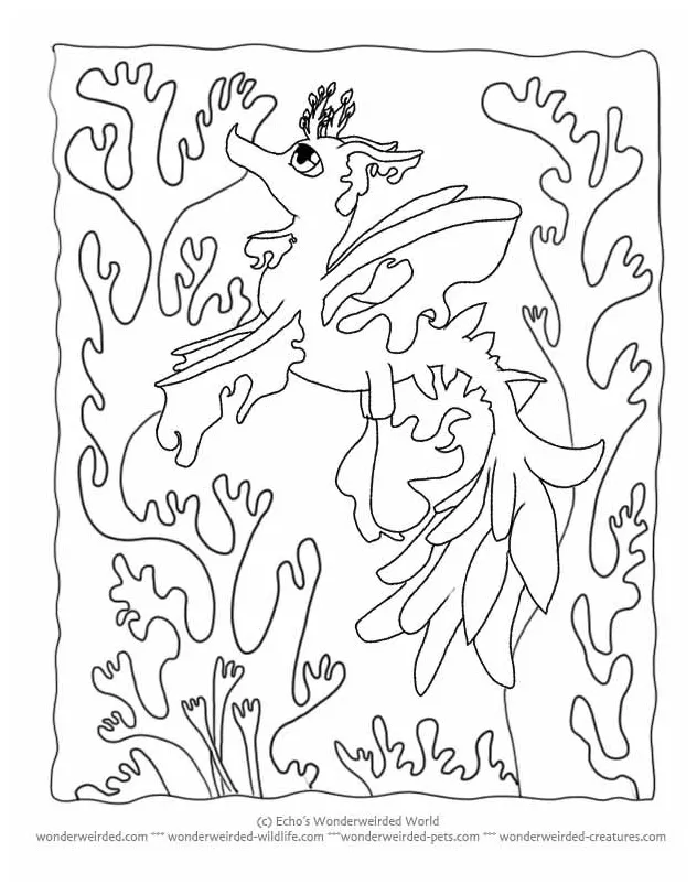 Kelp coloring page at getcolorings free printable colorings pages
