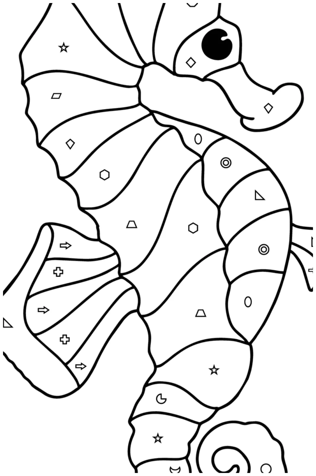 Sea horse coloring page ♥ online and print for free!