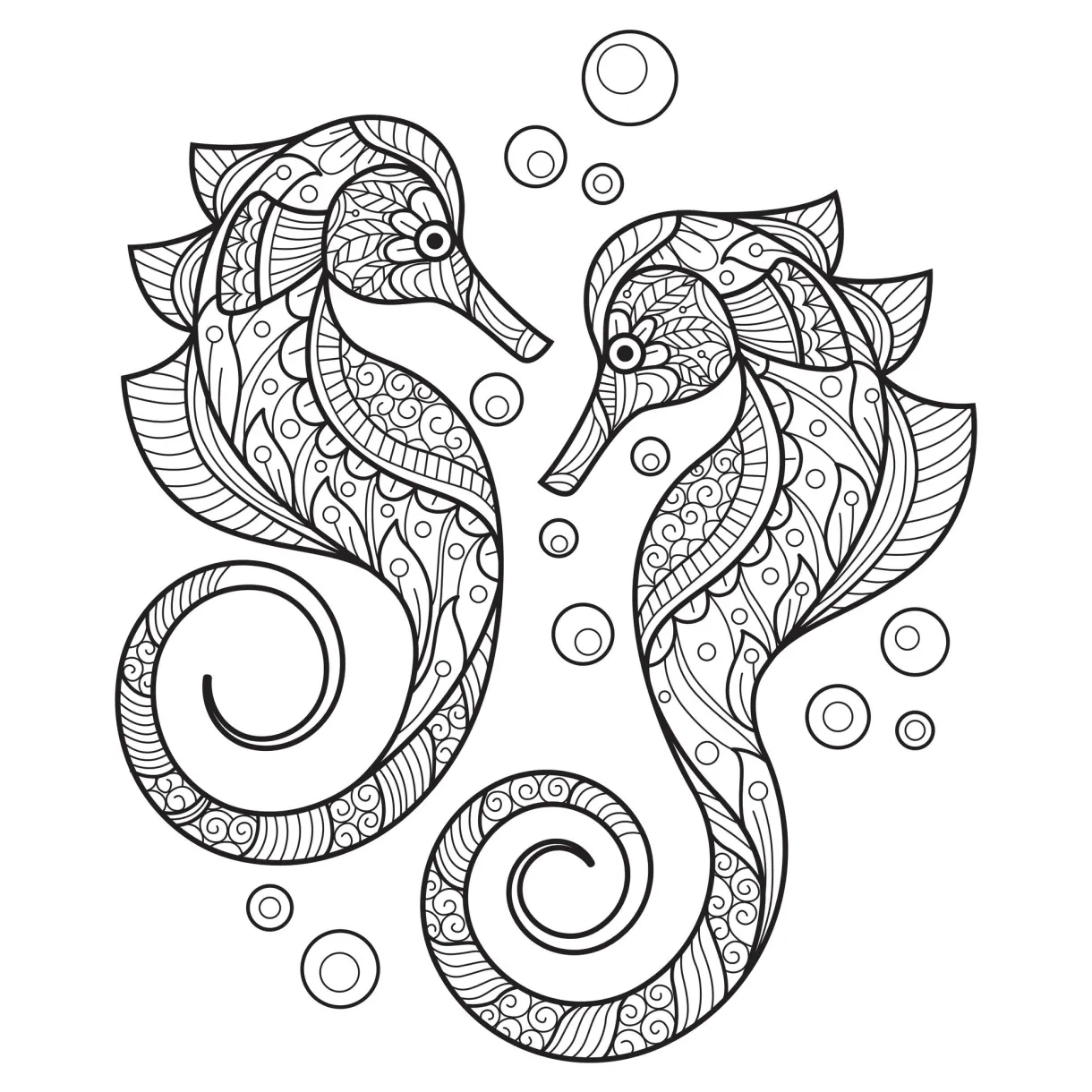 Sea horse coloring page 1072397 vector art at vecteezy