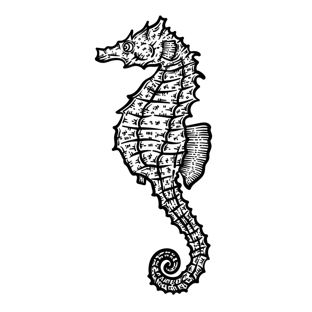 Premium vector sea horse animal coloring page for adults