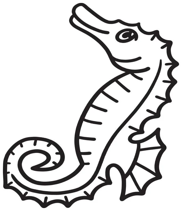 Sea horse coloring page vector art, icons, and graphics for