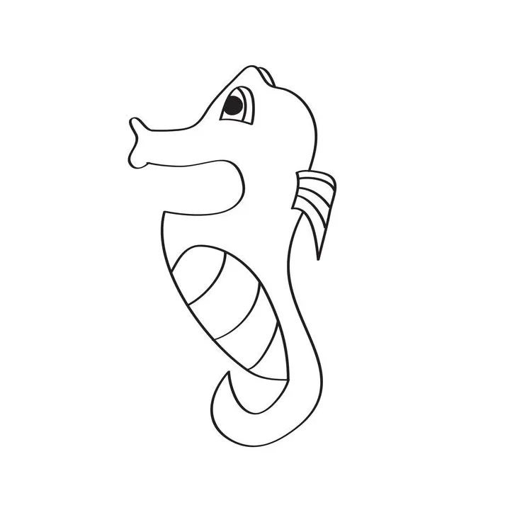 Sea horse coloring page vector art, icons, and graphics for