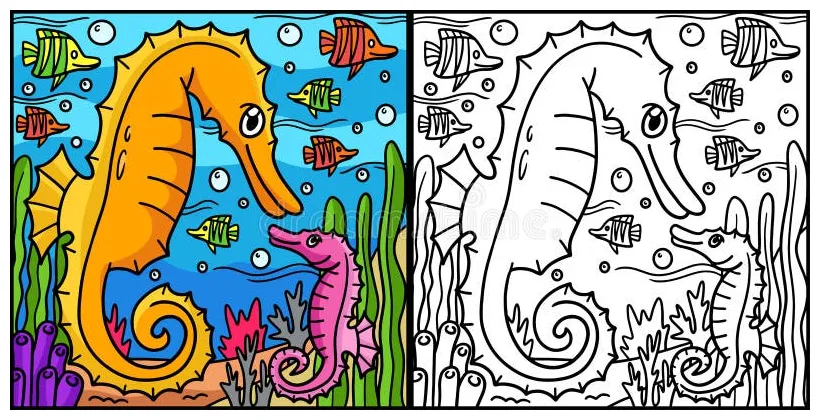 Sea horse coloring page colored illustration stock vector