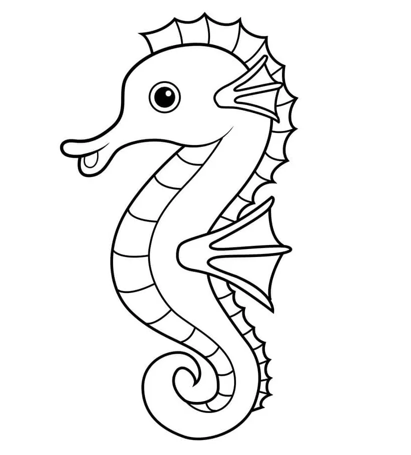 Sea horse coloring pages & coloring book. 6000+ coloring pages