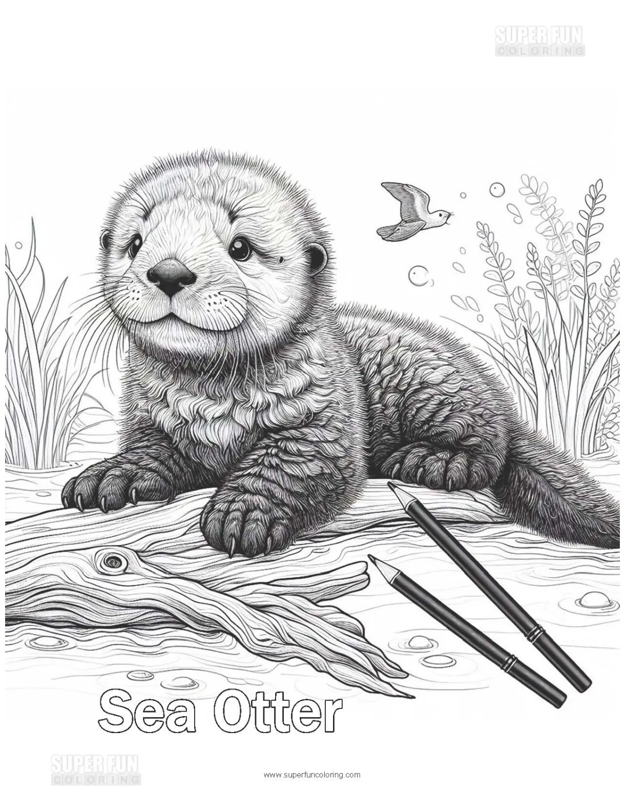 Sea Otter Coloring Page - Super Fun Coloring