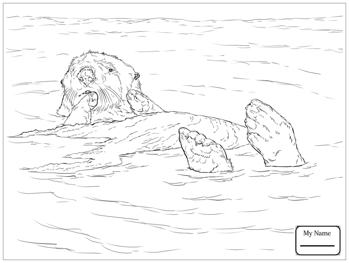 Otter Coloring Pages - ColoringBay