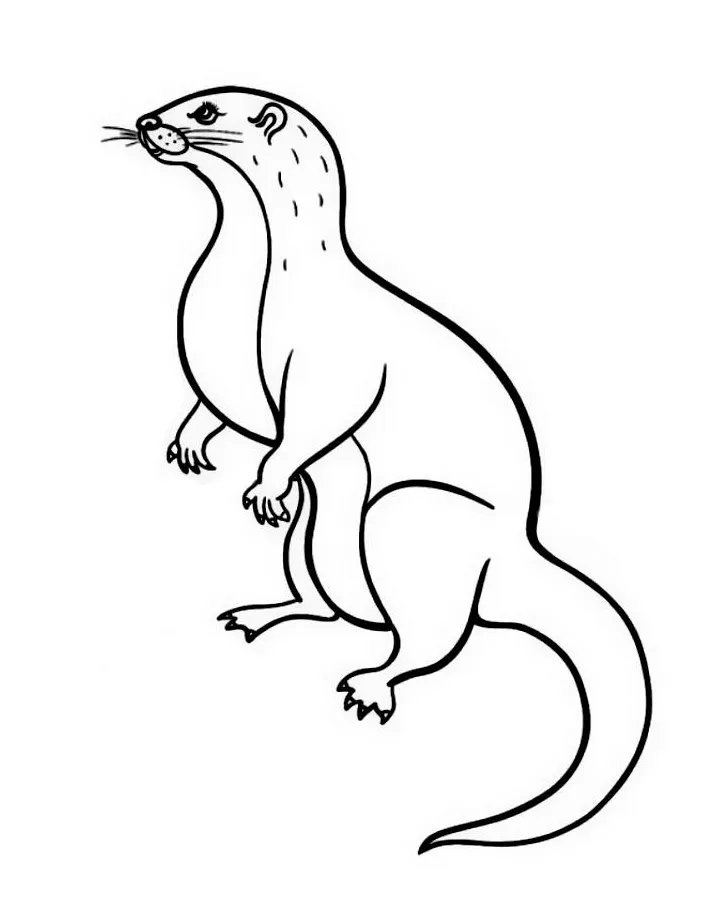Sea Otter Coloring Page