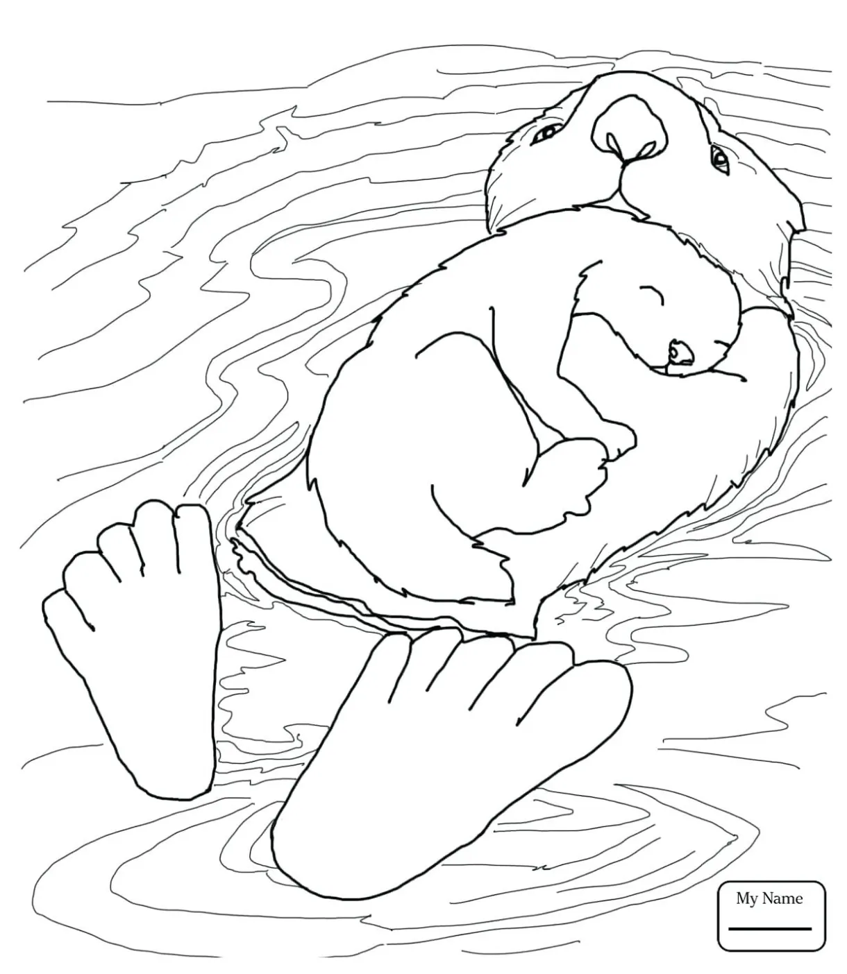 Sea Otter Coloring Page at GetColorings.com | Free printable colorings
