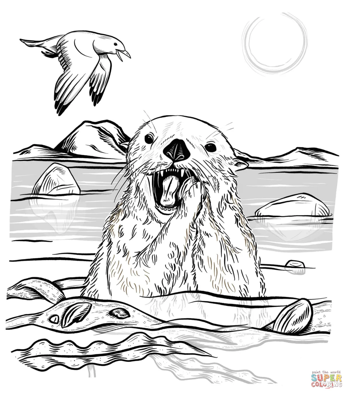 Sea otter eating urchin coloring page free printable coloring pages