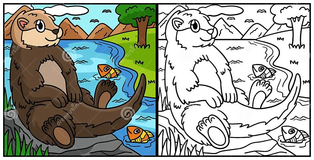 Sea otter coloring page colored illustration stock vector
