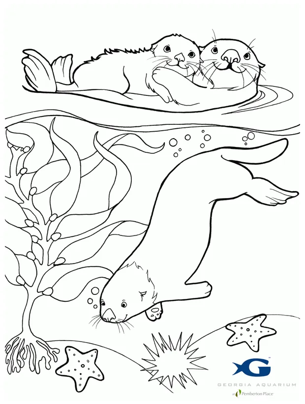 Sea otter coloring pages coloring home