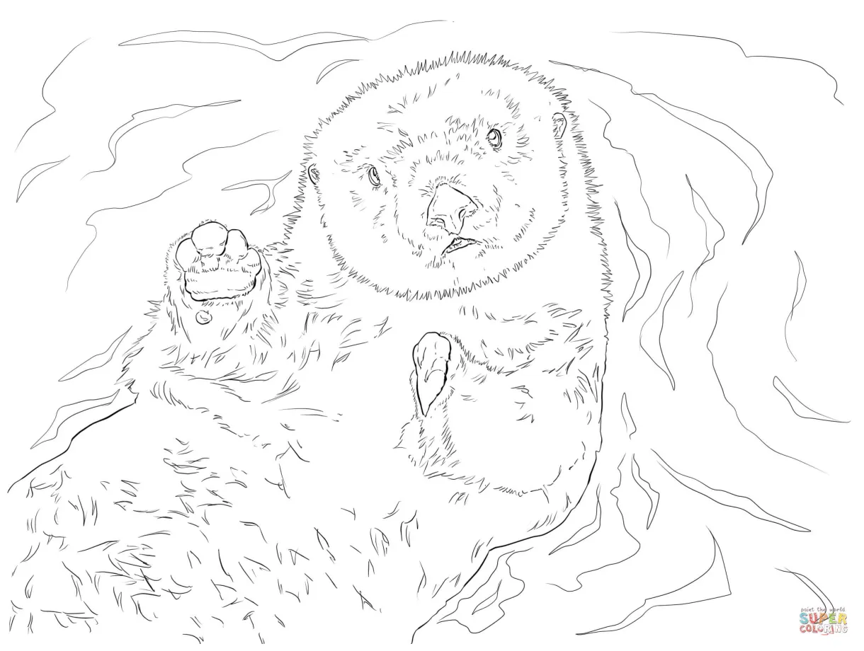 Sea Otter Portrait coloring page | Free Printable Coloring Pages