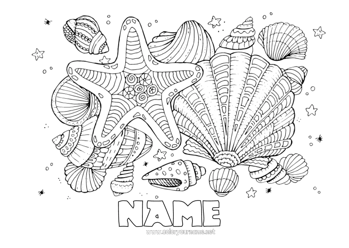 Coloring page no.2277 sea animal sea shell