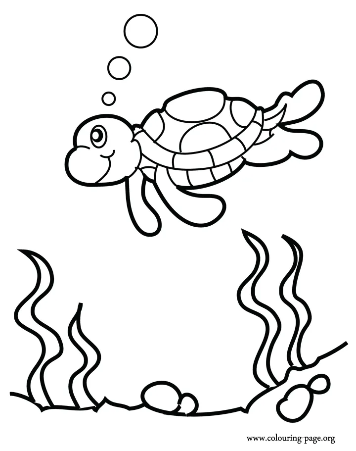 Turtles - Sea turtle swimming over a reef coloring page