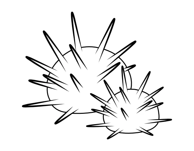 Printable sea urchin coloring page