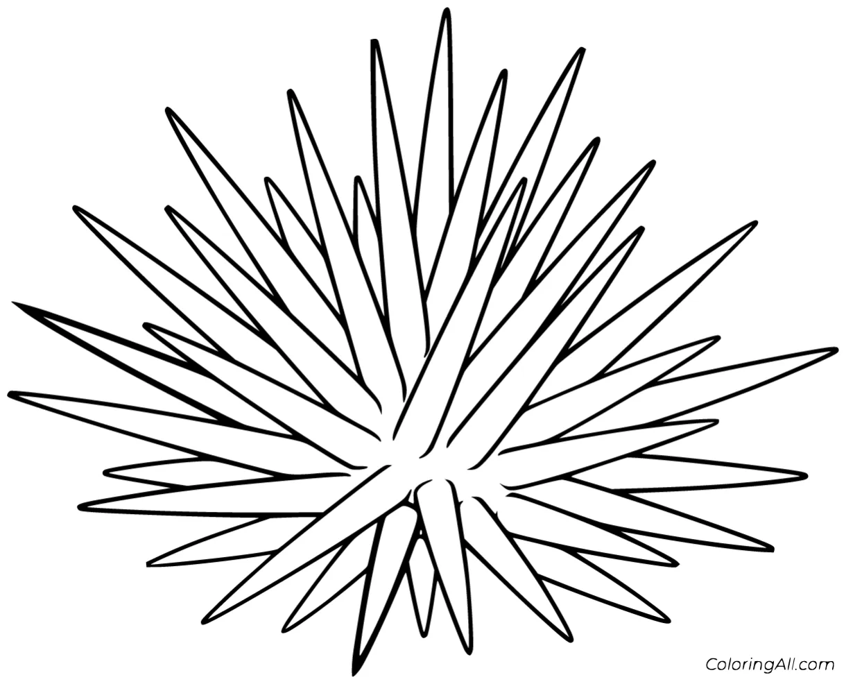 Sea urchin coloring pages 7 free printables coloringall