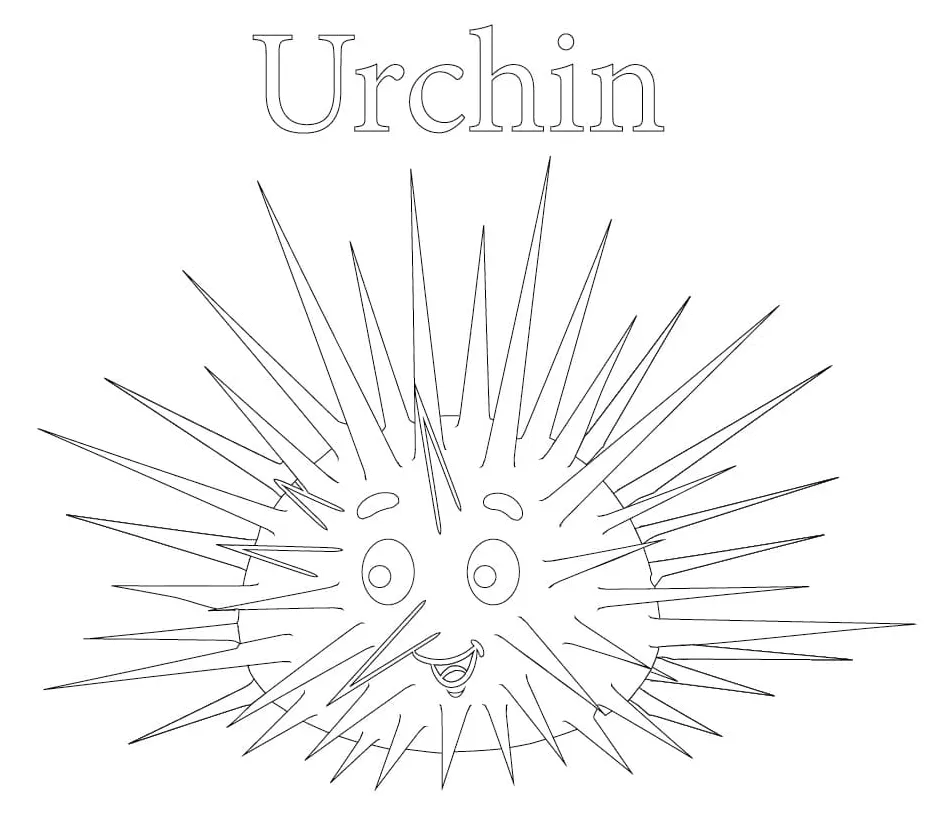 Sea Urchin Coloring Page