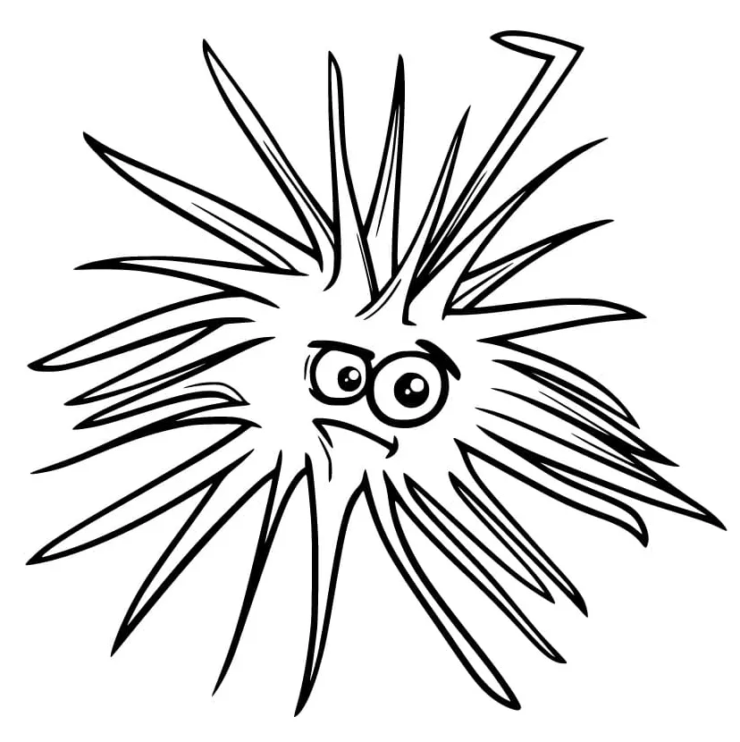 Sea urchin coloring page