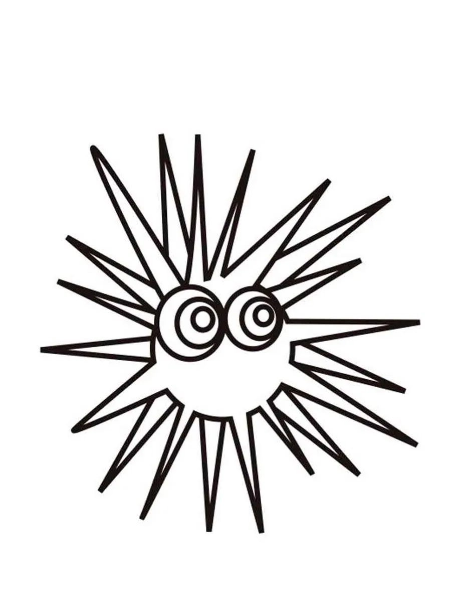 Sea Urchin coloring pages