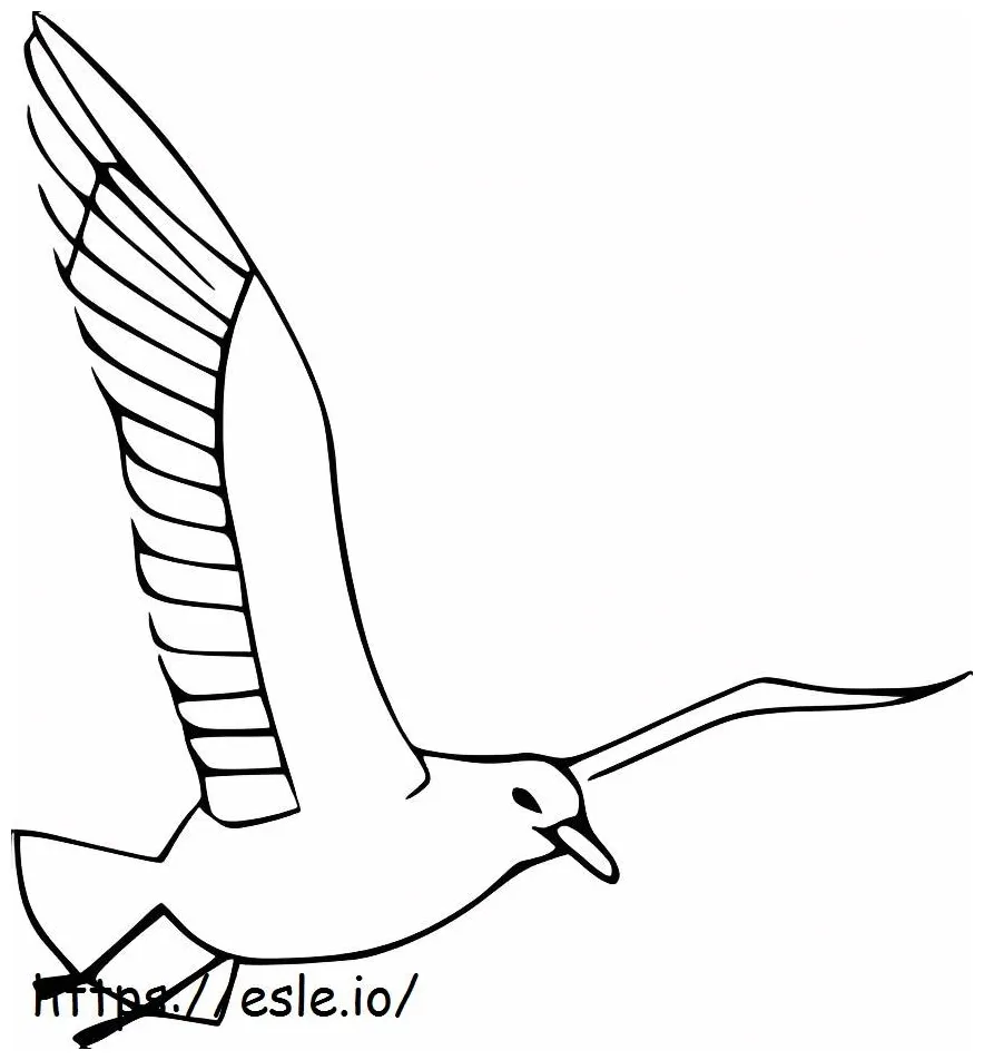 Cool seagull flying coloring page