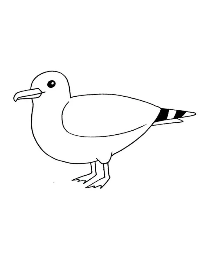 S free printable pdf