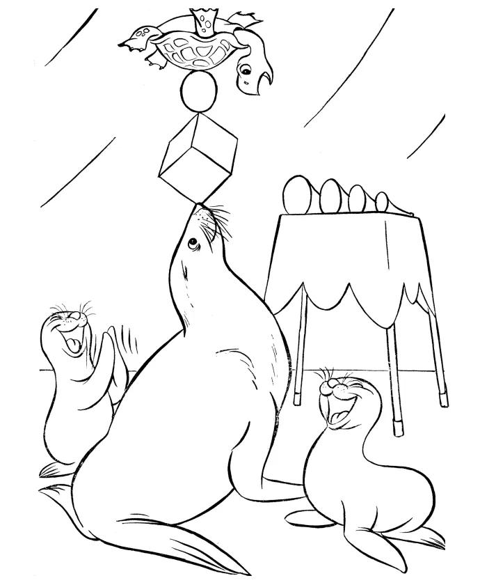 Seal coloring page free and printable templates for kids and adults